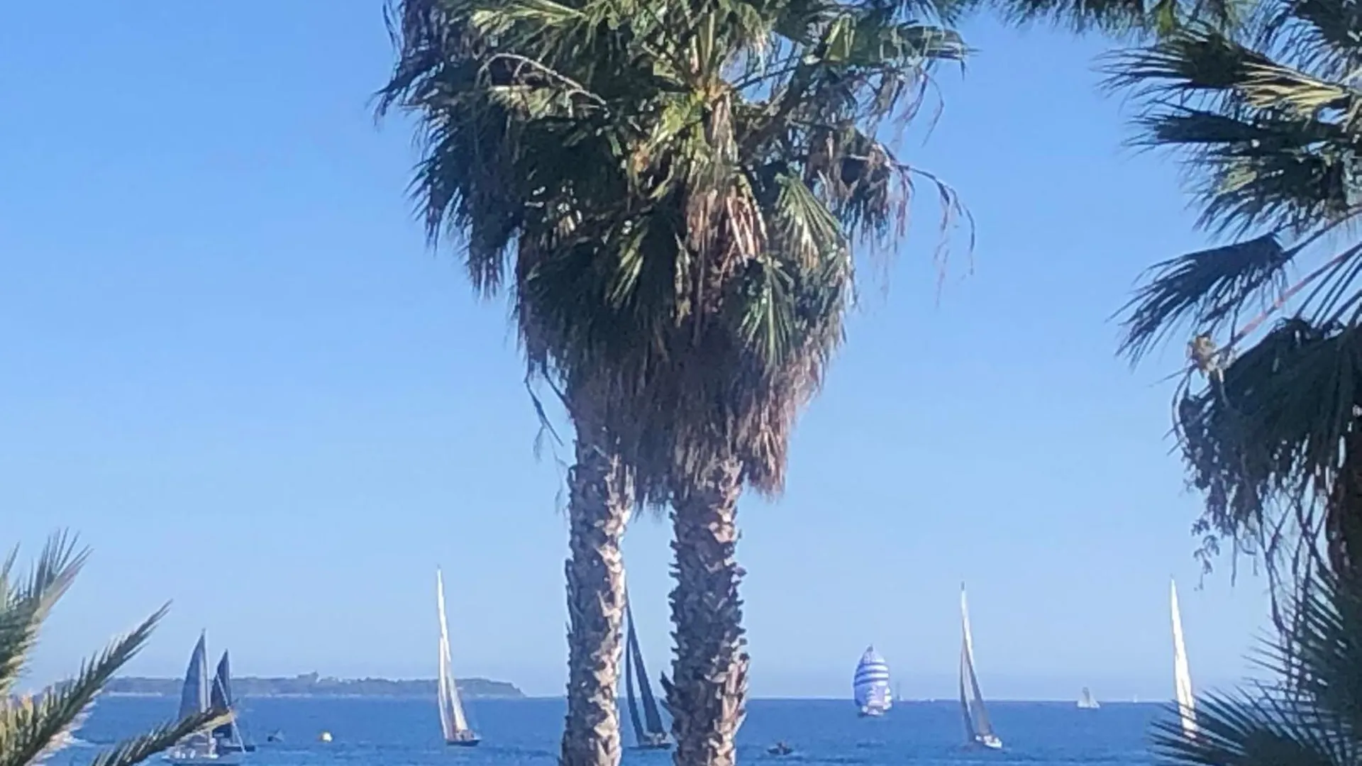 Cannes Terrace Beach Front & Sea View Apartment