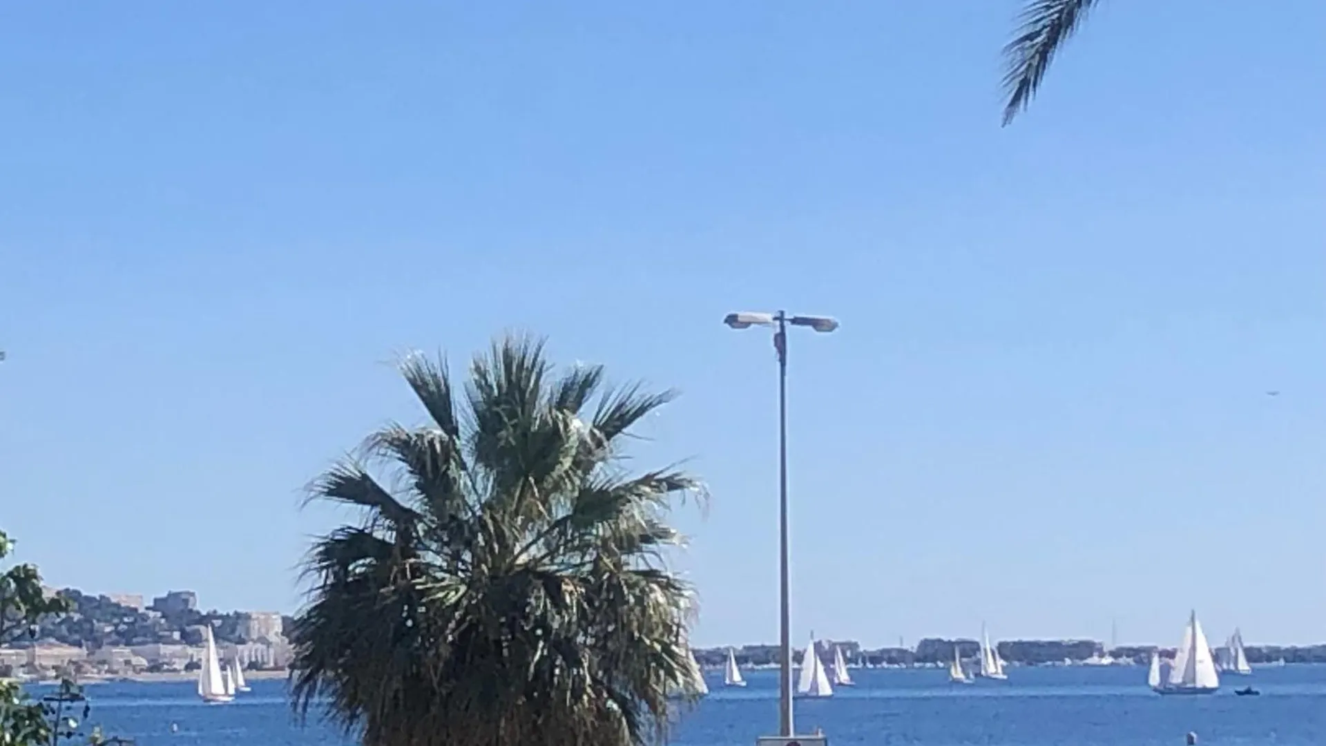 Apartment Cannes Terrace Beach Front & Sea View France