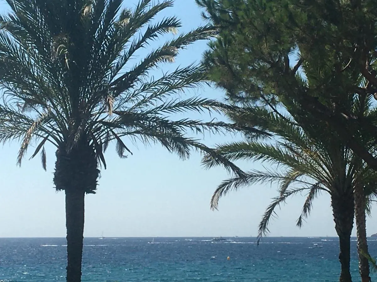 Cannes Terrace Beach Front & Sea View Apartment
