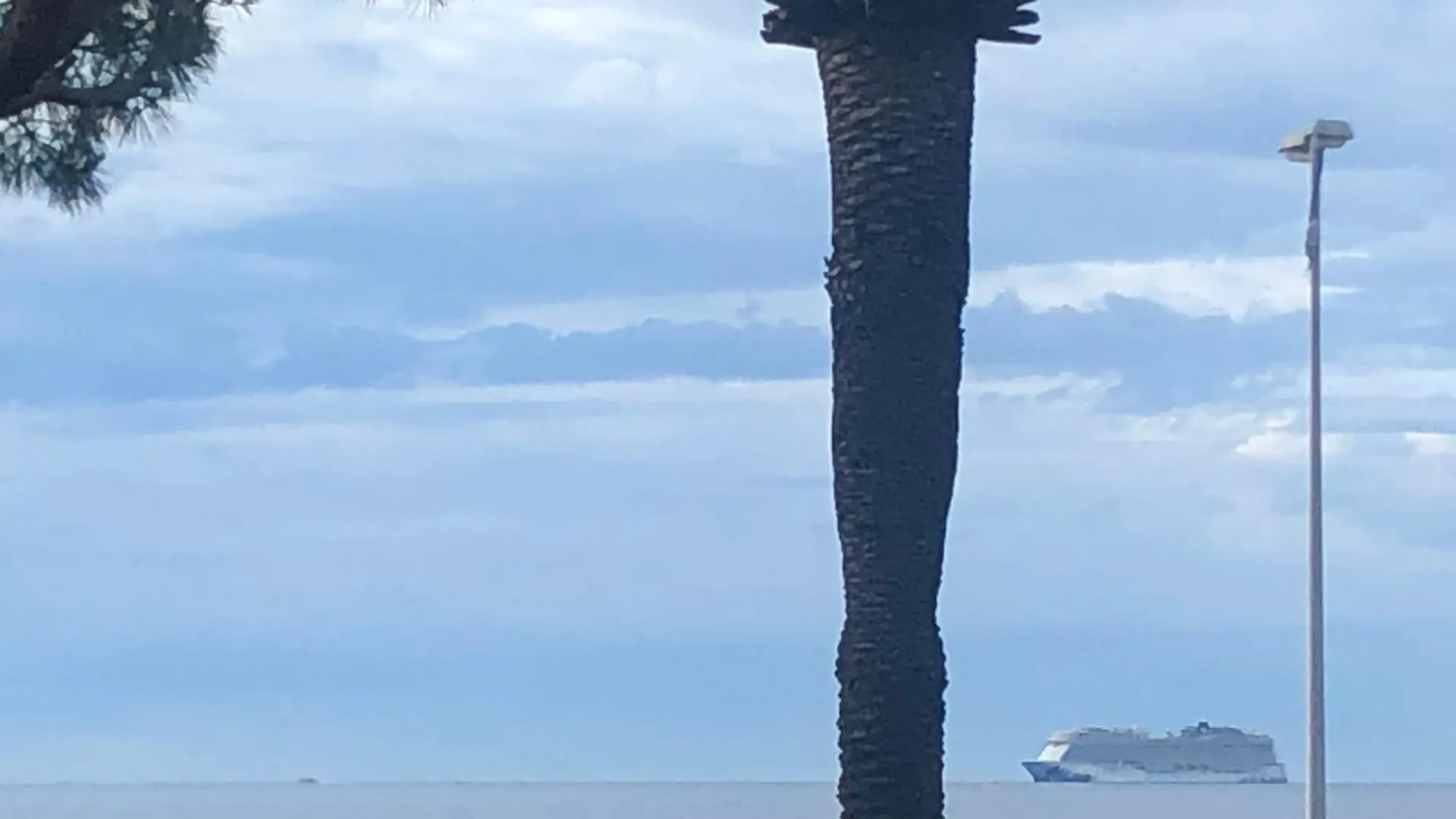 Cannes Terrace Beach Front & Sea View Apartment